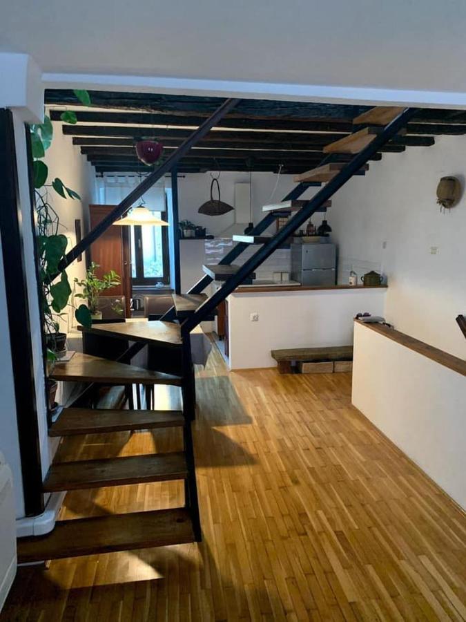 Apartment Capo D'Istria 코페르 외부 사진