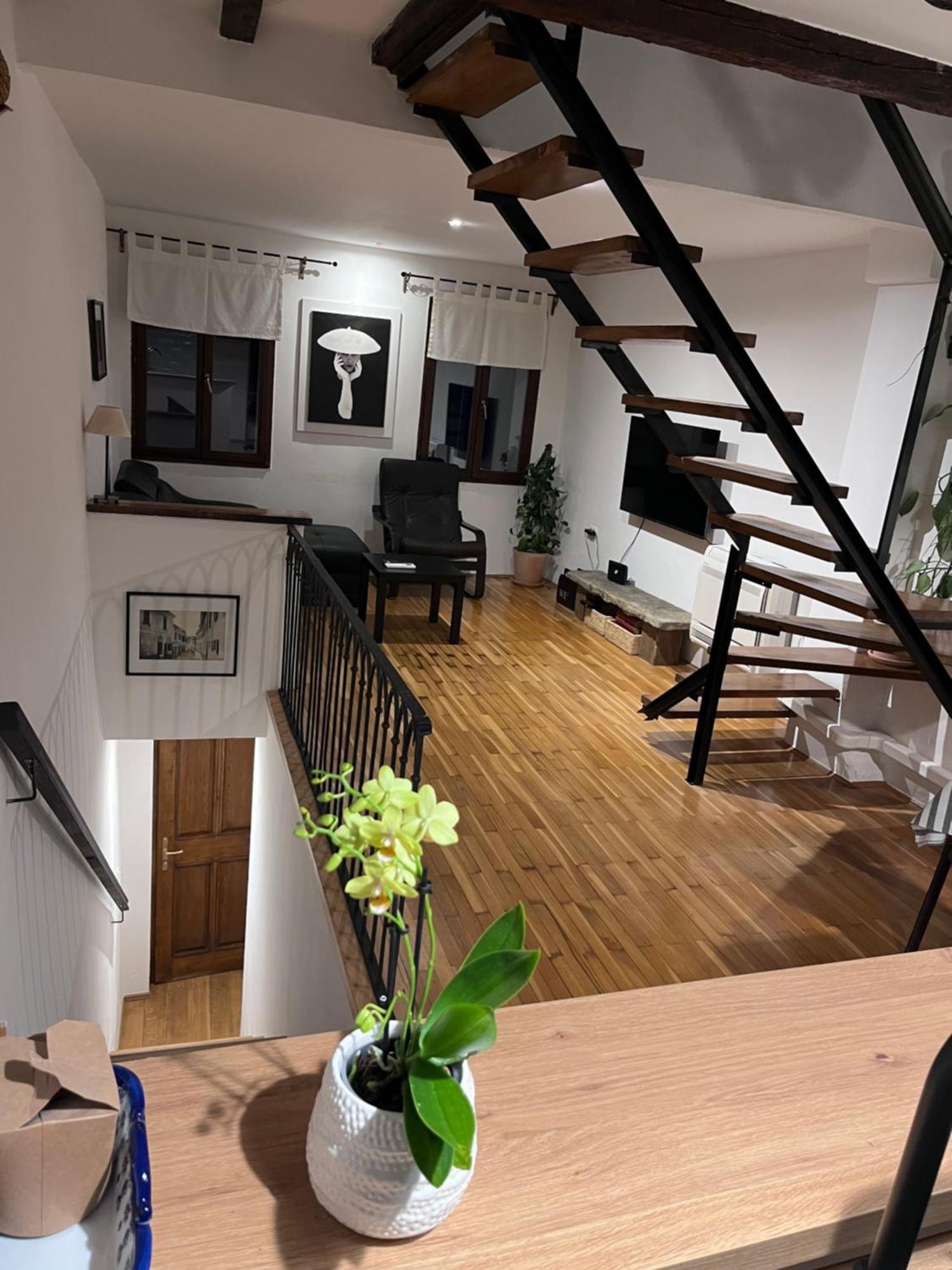 Apartment Capo D'Istria 코페르 외부 사진