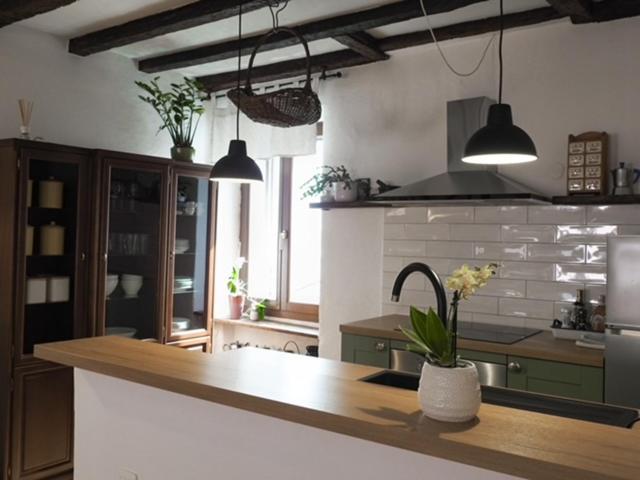 Apartment Capo D'Istria 코페르 외부 사진